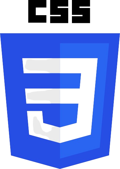 CSS Logo